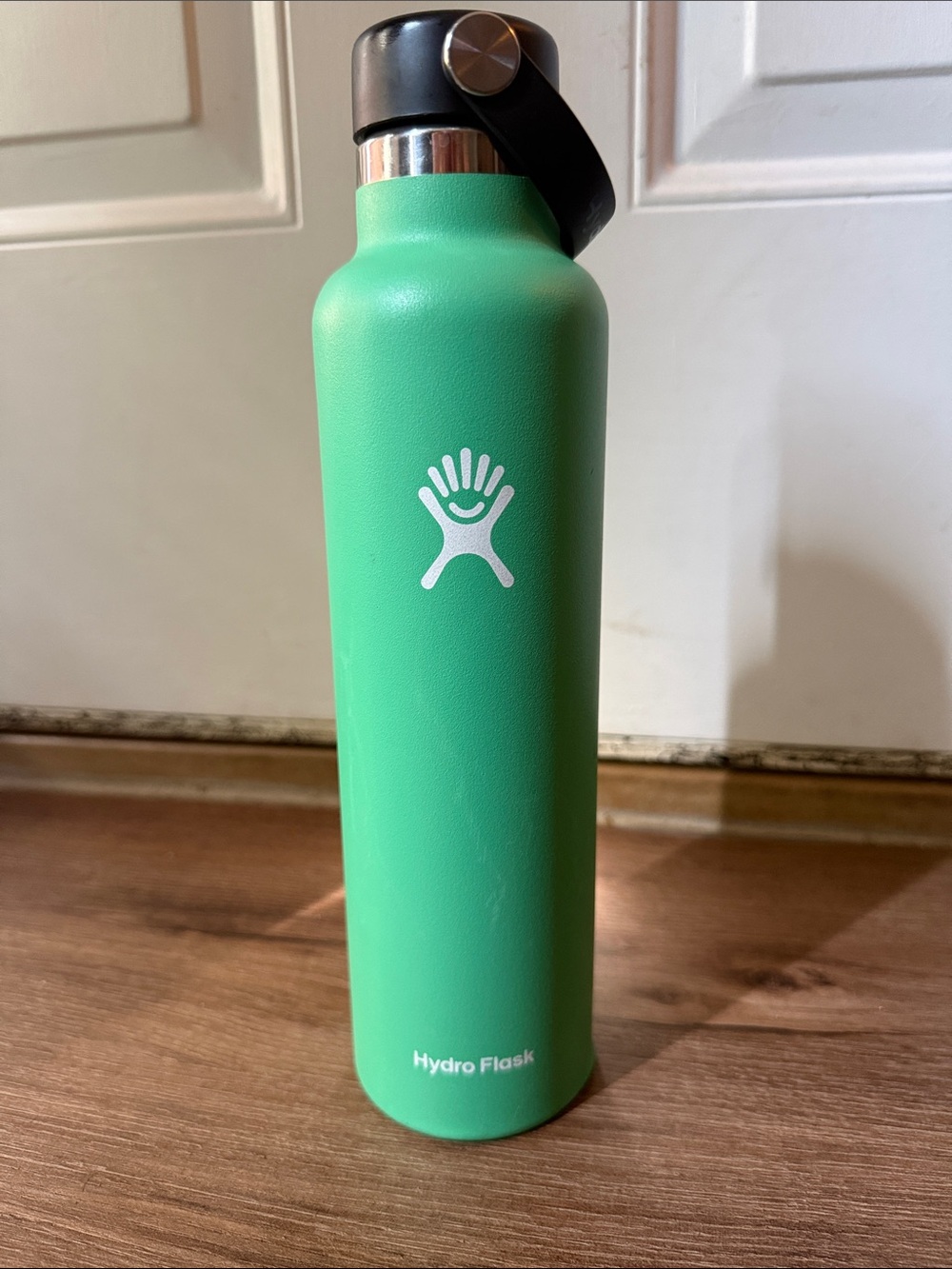 Hydro Flask Green Stainless Steel Water Bottle with Carrying Loop